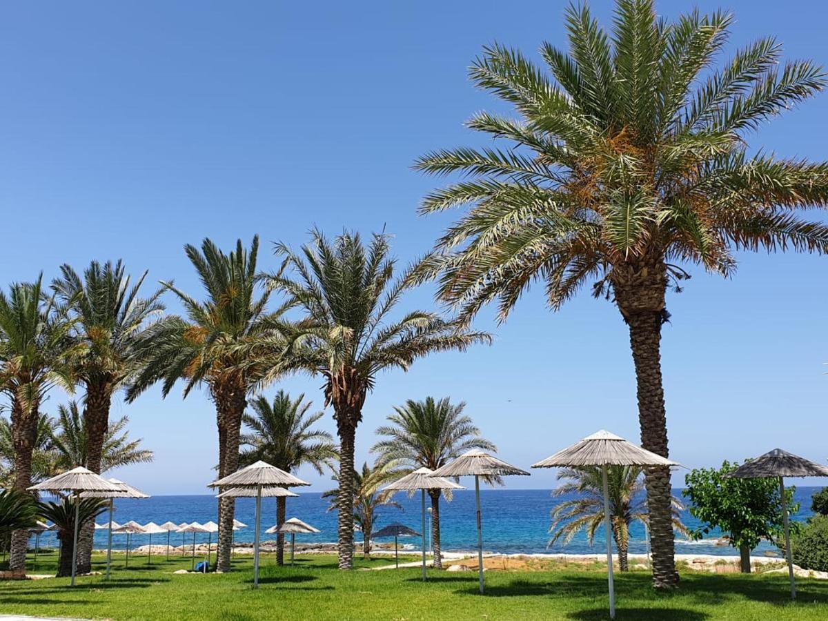 Seaview Sunset Holiday Apartments Paphos ภายนอก รูปภาพ
